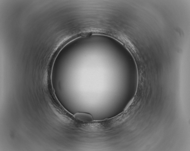 X0000112180108200908071335