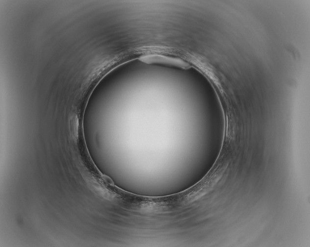 X0000112180109200908071335