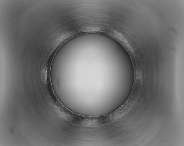 X0000112180110200908071334