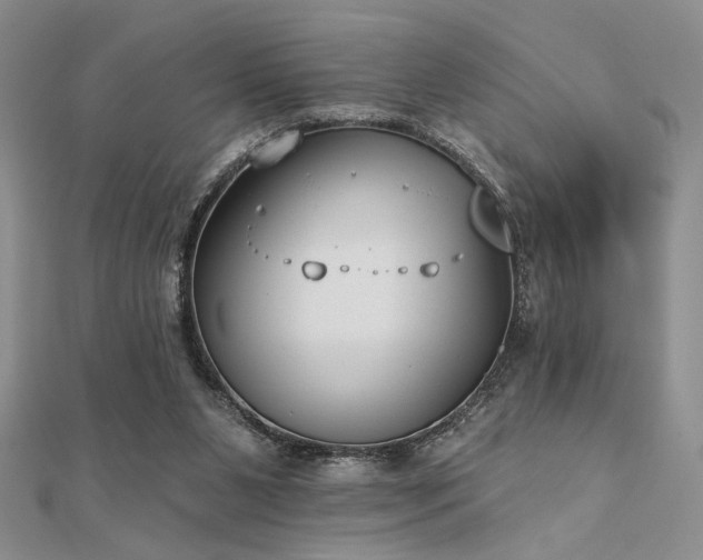 X0000112180111200908071334