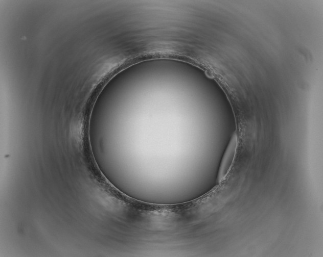 X0000112180112200908071334