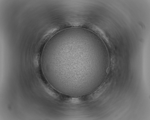 X0000112180114200908071334