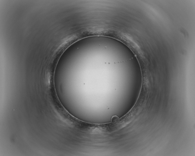 X0000112180115200908071334