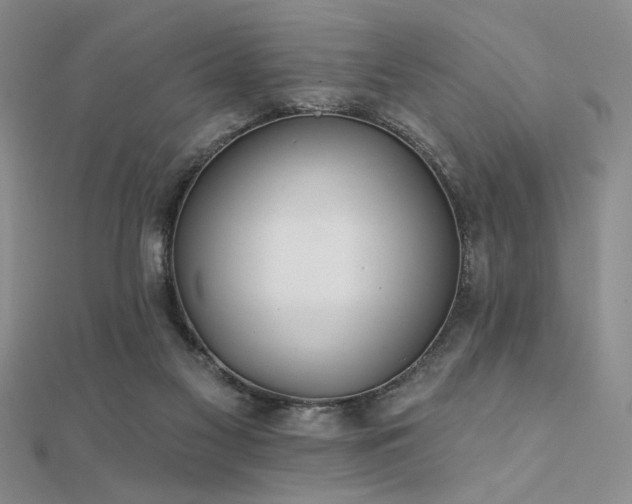 X0000112180117200908071334