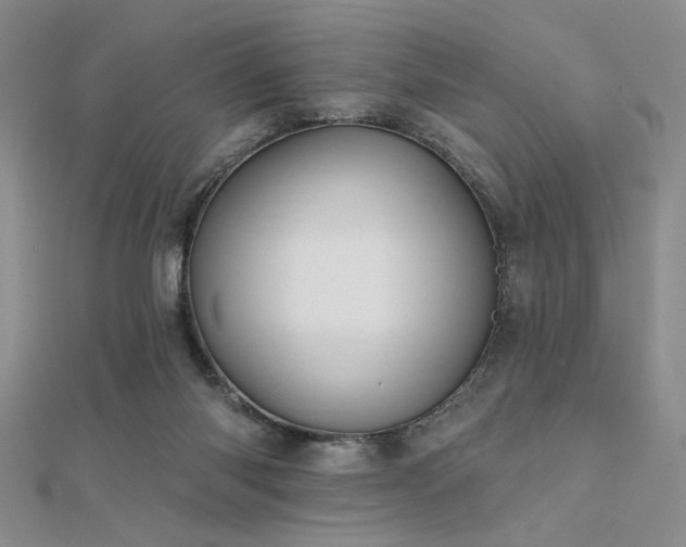 X0000112180118200908071334