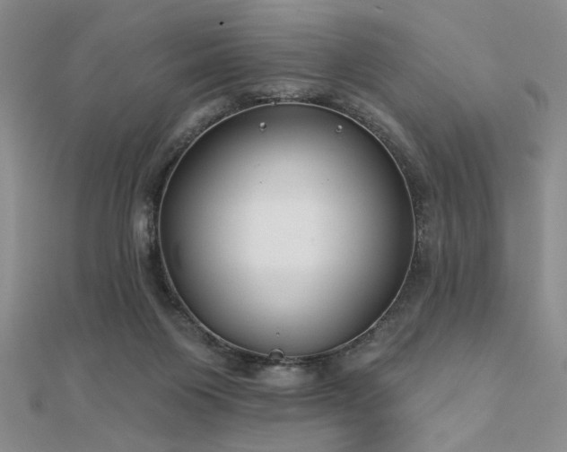 X0000112180119200908071334