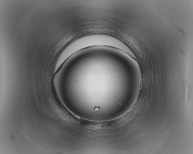 X0000112180120200908071334