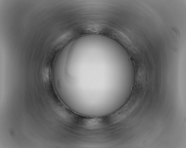 X0000112180122200908071334