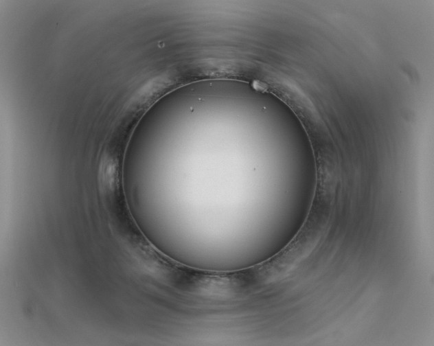 X0000112180123200908071334