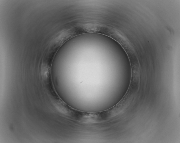 X0000112180125200908071334