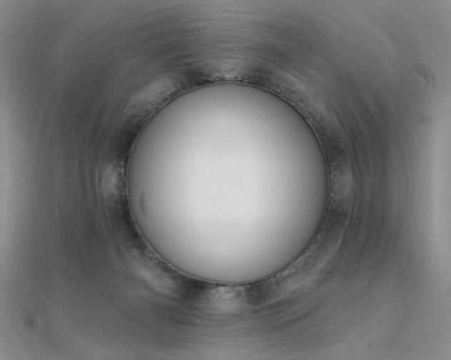 X0000112180126200908071334