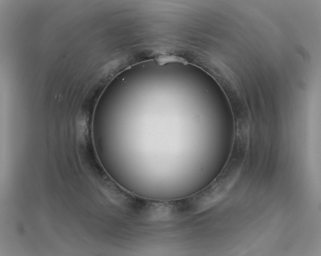 X0000112180127200908071334