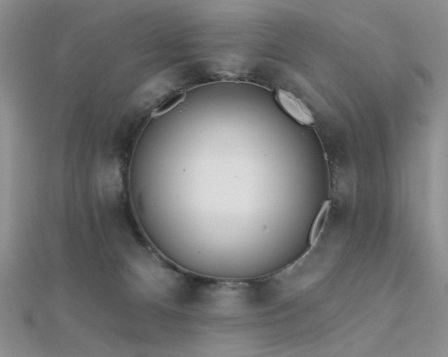 X0000112180128200908071334