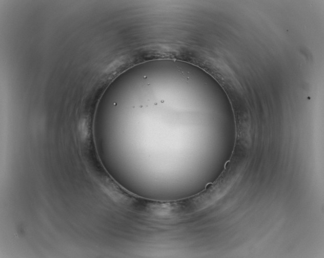 X0000112180131200908071334