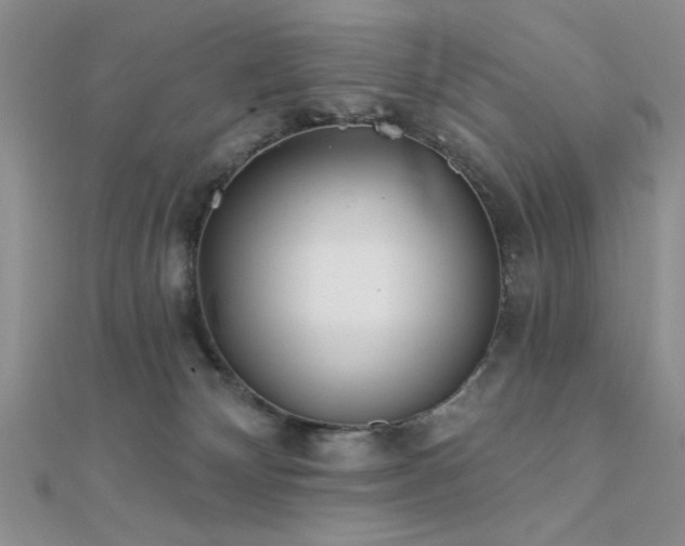 X0000112180132200908071334