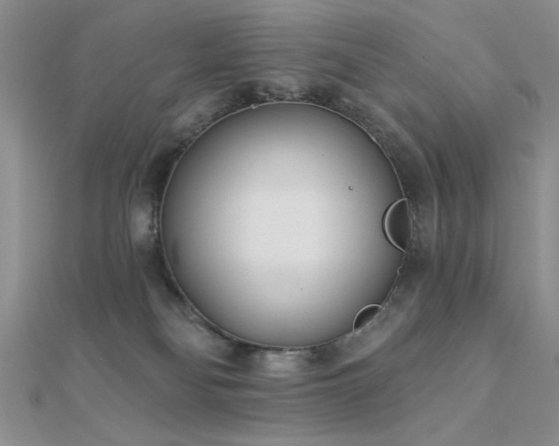 X0000112180134200908071334