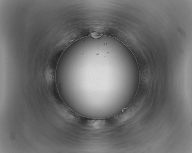 X0000112180135200908071334