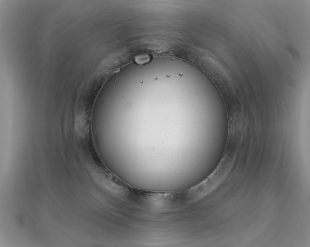 X0000112180136200908071334