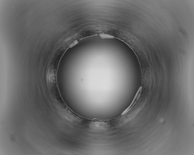 X0000112180137200908071334