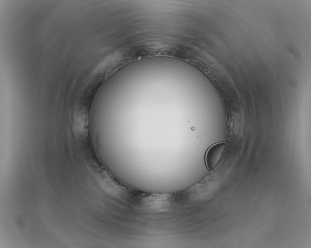 X0000112180138200908071334