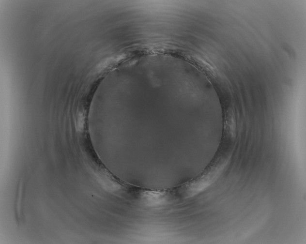 X0000112180139200908071334