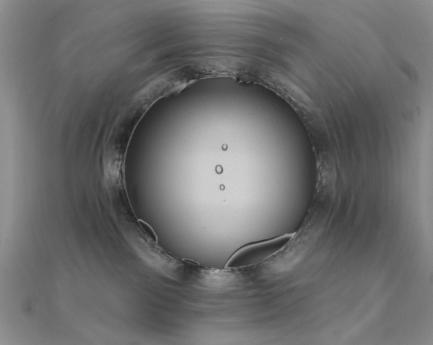 X0000112180141200908071334