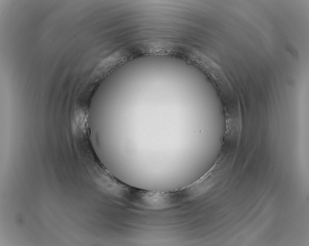 X0000112180142200908071334