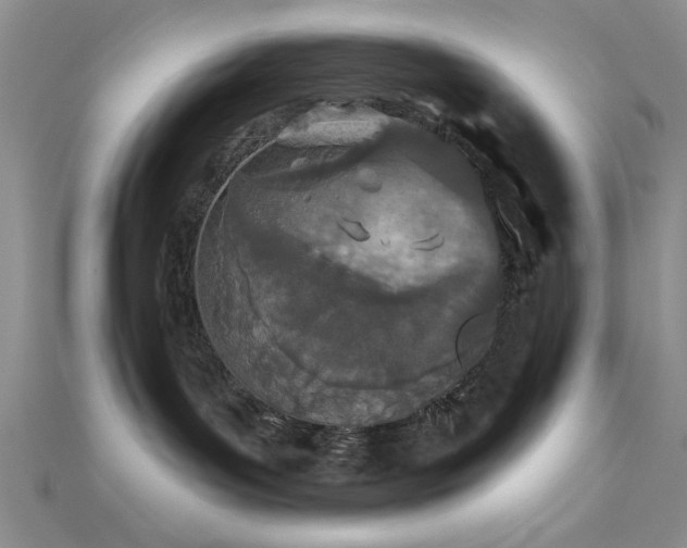 X0000112180143200908071334