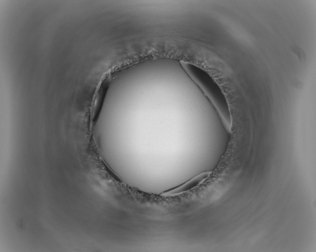 X0000112180144200908071334