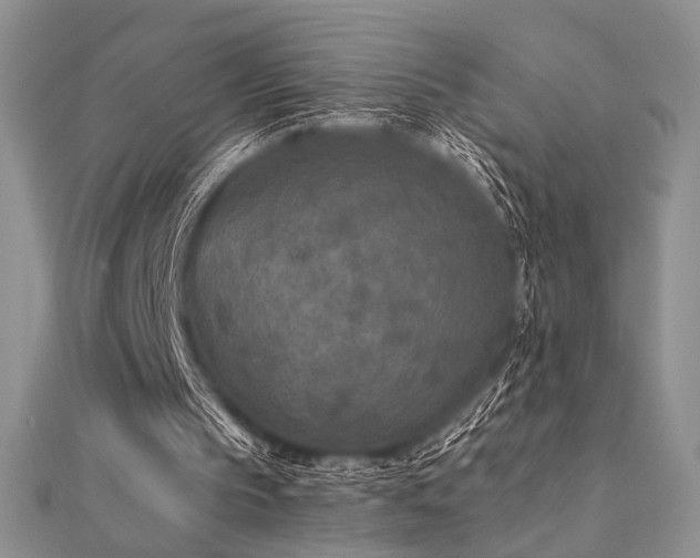 X0000112180145200908071333