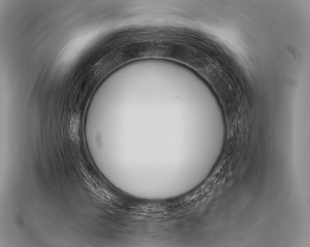 X0000112180146200908071333