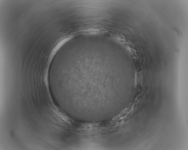 X0000112180147200908071333