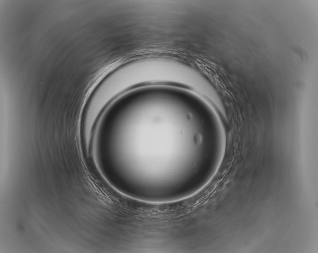 X0000112180148200908071333