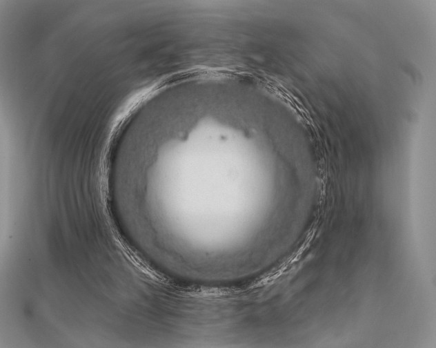 X0000112180149200908071334