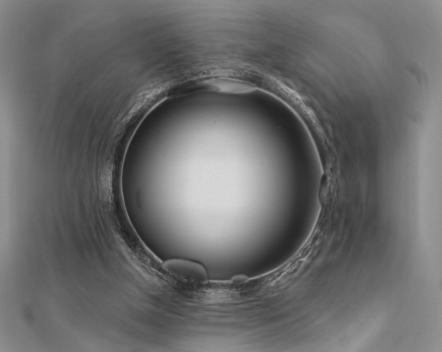 X0000112180154200908071334