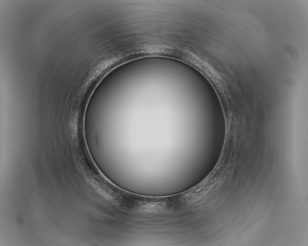 X0000112180155200908071334