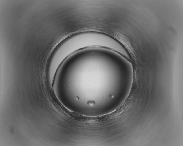 X0000112180156200908071334