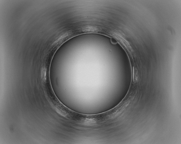 X0000112180157200908071334