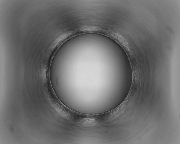 X0000112180159200908071334