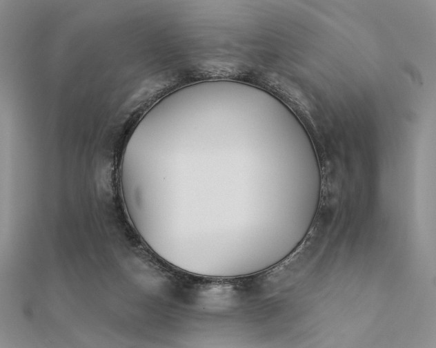 X0000112180162200908071334