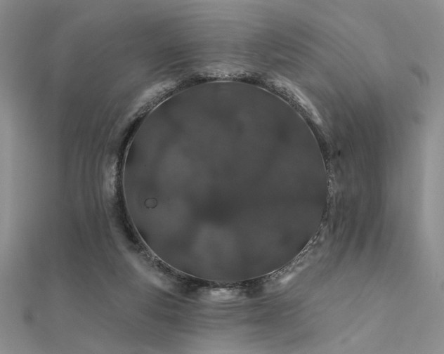 X0000112180163200908071334