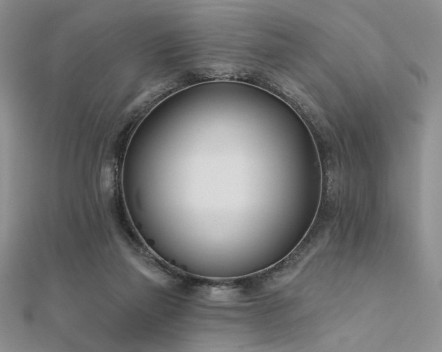 X0000112180165200908071334