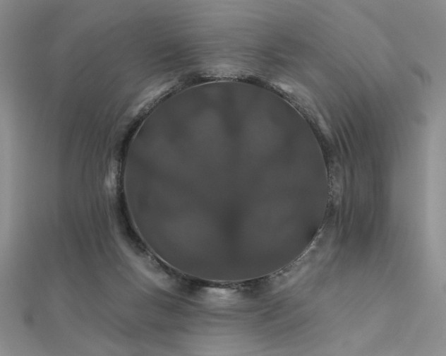 X0000112180167200908071334