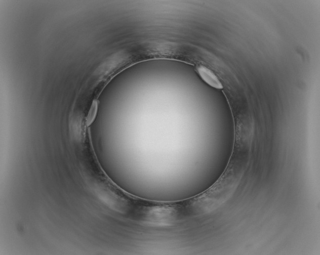 X0000112180168200908071334