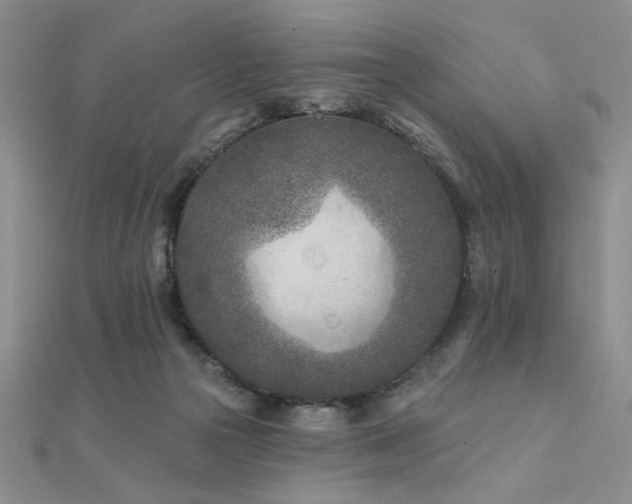 X0000112180169200908071334