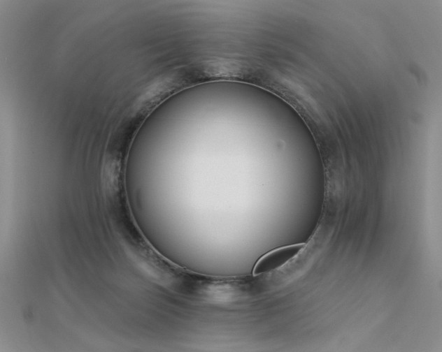 X0000112180171200908071334