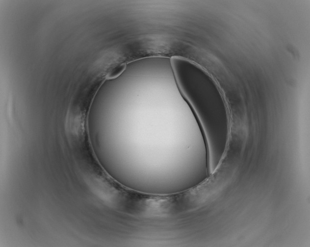 X0000112180172200908071334