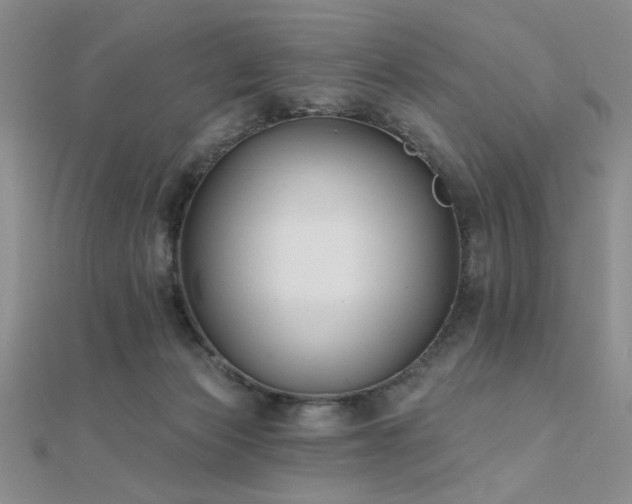 X0000112180173200908071334