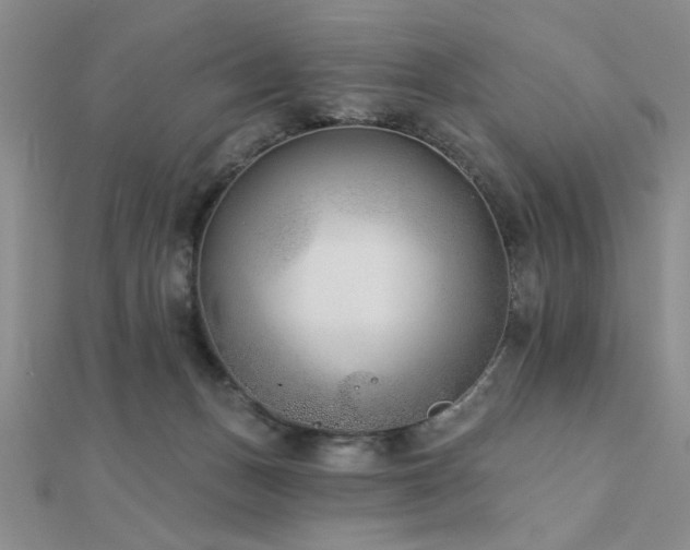 X0000112180175200908071334