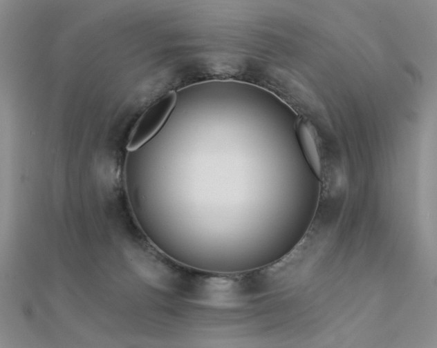 X0000112180176200908071334